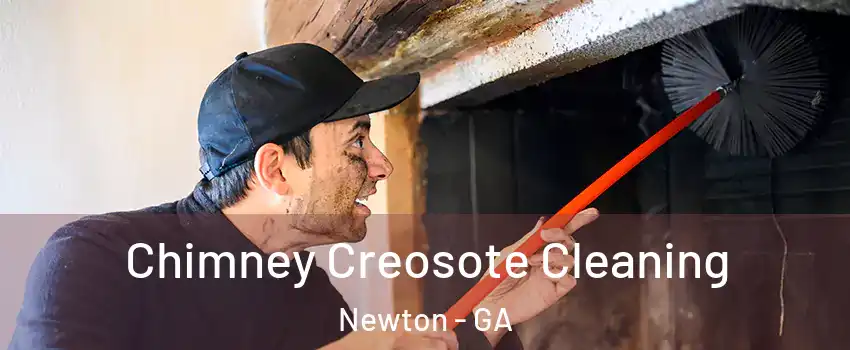 Chimney Creosote Cleaning Newton - GA