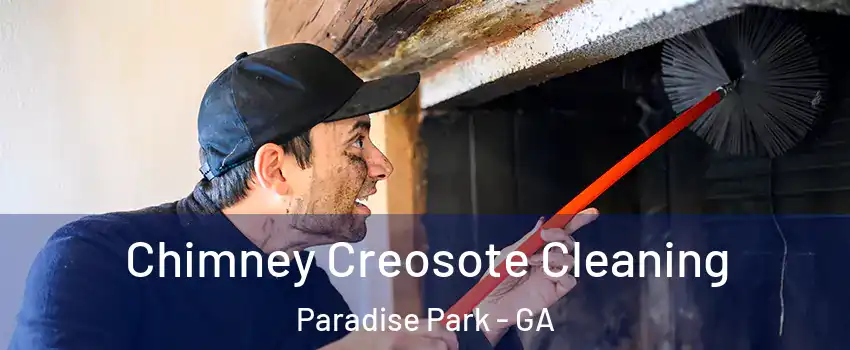 Chimney Creosote Cleaning Paradise Park - GA