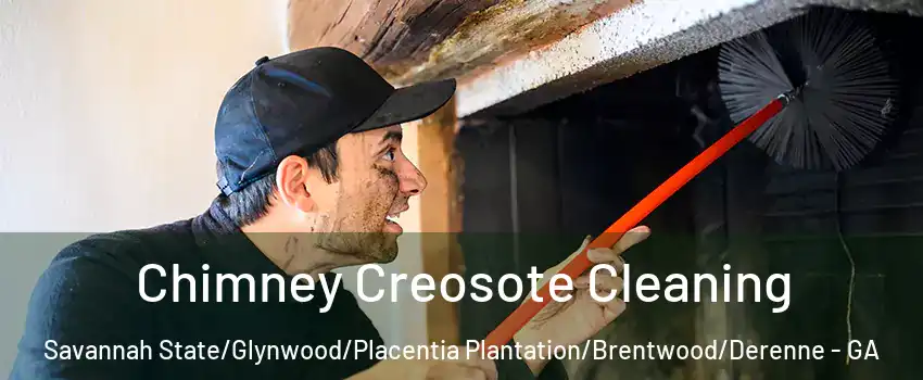 Chimney Creosote Cleaning Savannah State/Glynwood/Placentia Plantation/Brentwood/Derenne - GA