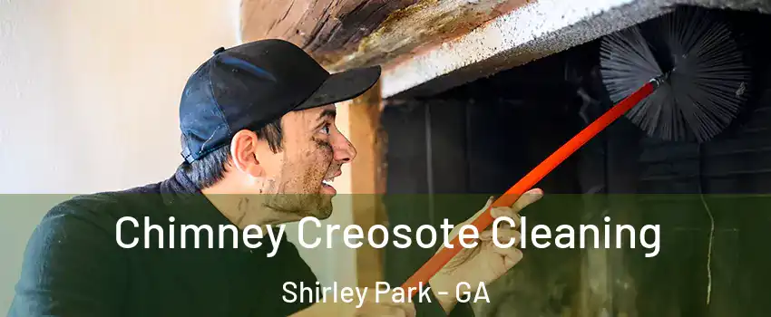 Chimney Creosote Cleaning Shirley Park - GA