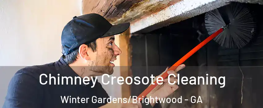 Chimney Creosote Cleaning Winter Gardens/Brightwood - GA