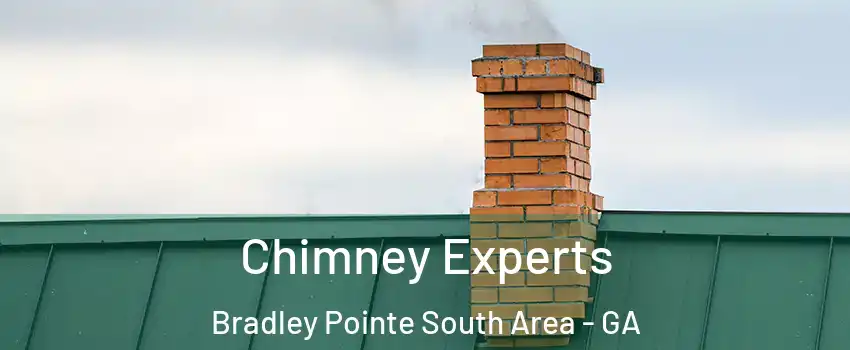 Chimney Experts Bradley Pointe South Area - GA