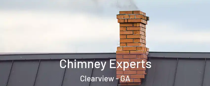 Chimney Experts Clearview - GA