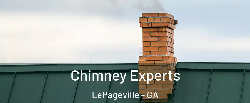 Chimney Experts LePageville - GA