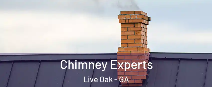 Chimney Experts Live Oak - GA