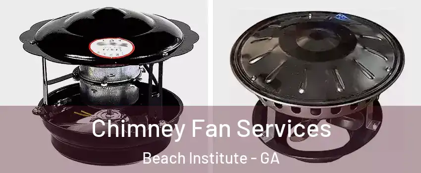 Chimney Fan Services Beach Institute - GA