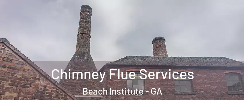 Chimney Flue Services Beach Institute - GA