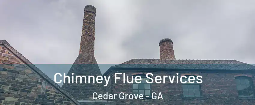 Chimney Flue Services Cedar Grove - GA