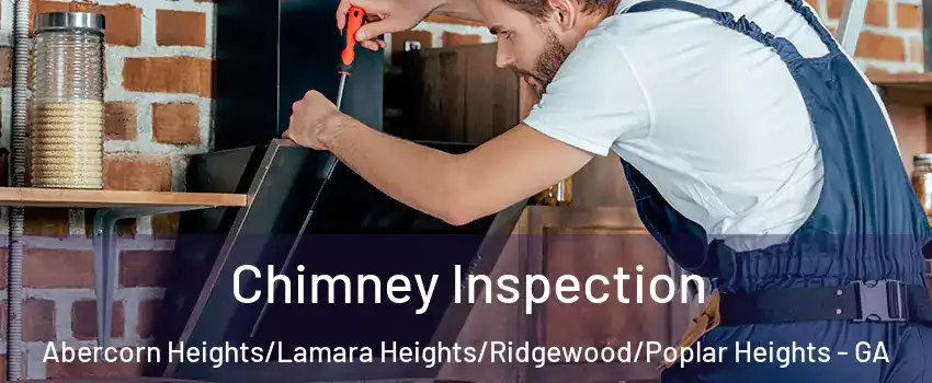 Chimney Inspection Abercorn Heights/Lamara Heights/Ridgewood/Poplar Heights - GA