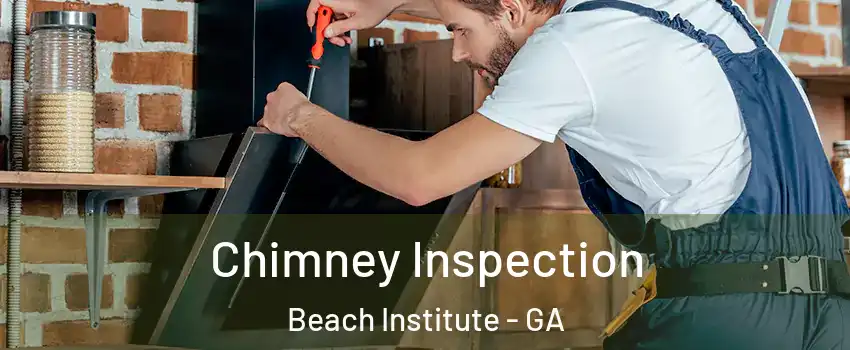 Chimney Inspection Beach Institute - GA