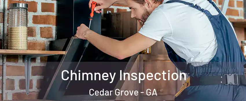 Chimney Inspection Cedar Grove - GA