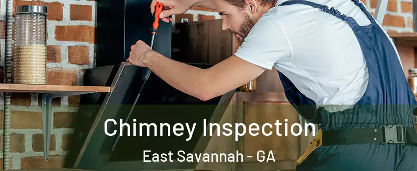 Chimney Inspection East Savannah - GA