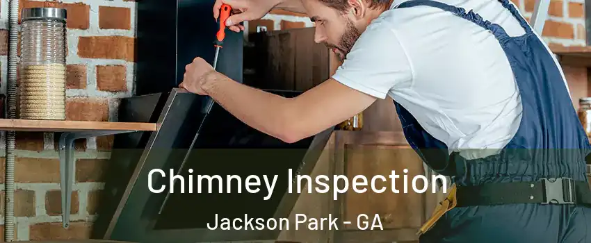 Chimney Inspection Jackson Park - GA