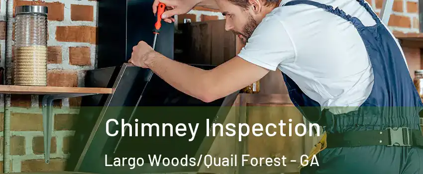 Chimney Inspection Largo Woods/Quail Forest - GA