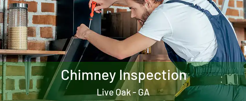 Chimney Inspection Live Oak - GA