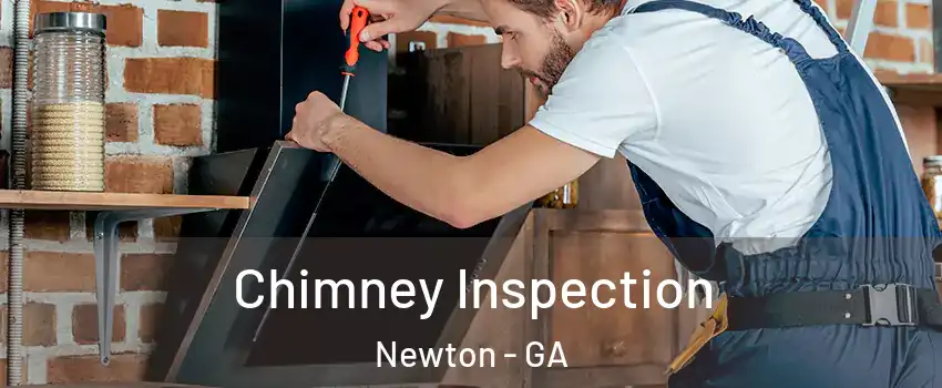 Chimney Inspection Newton - GA