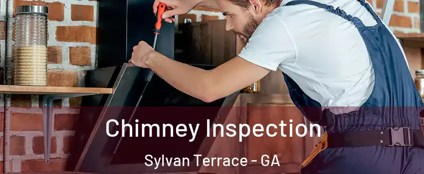 Chimney Inspection Sylvan Terrace - GA