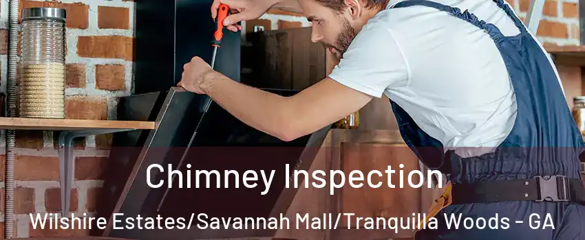 Chimney Inspection Wilshire Estates/Savannah Mall/Tranquilla Woods - GA