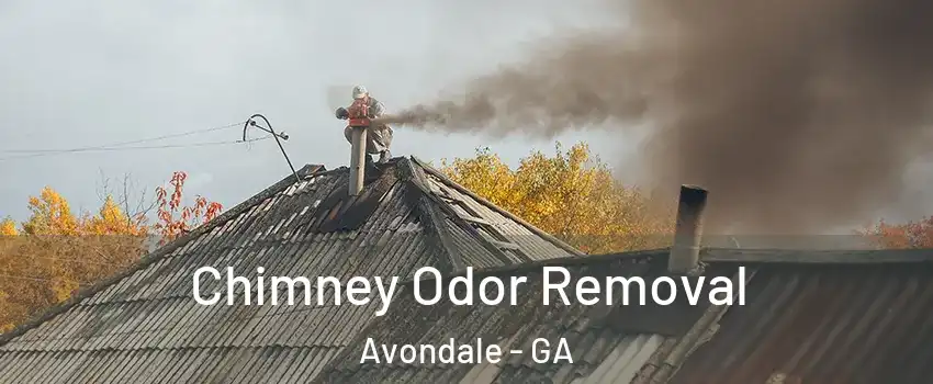 Chimney Odor Removal Avondale - GA