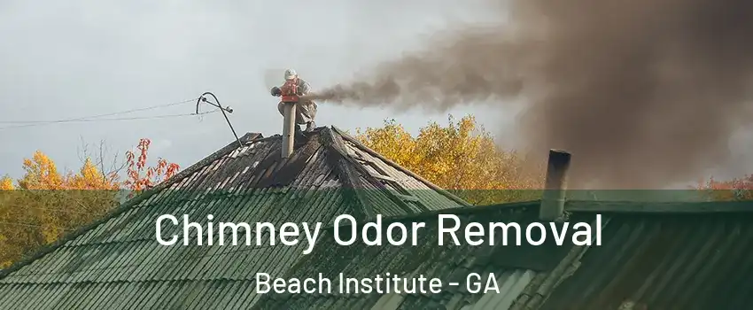 Chimney Odor Removal Beach Institute - GA