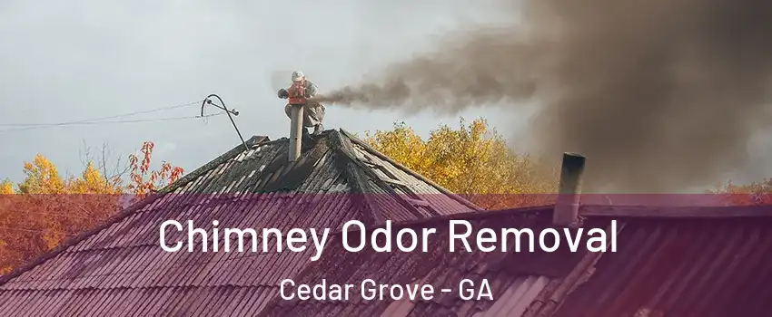 Chimney Odor Removal Cedar Grove - GA