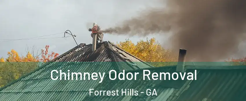 Chimney Odor Removal Forrest Hills - GA