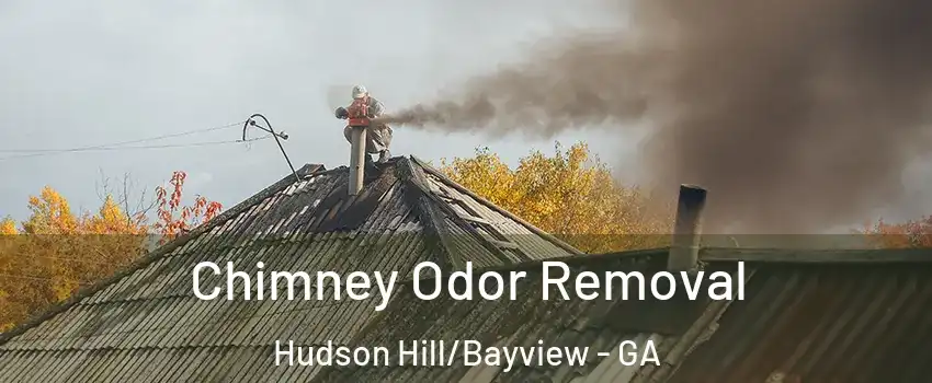 Chimney Odor Removal Hudson Hill/Bayview - GA