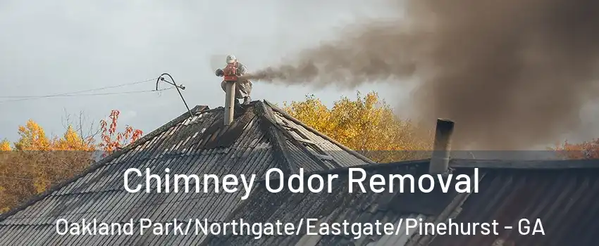 Chimney Odor Removal Oakland Park/Northgate/Eastgate/Pinehurst - GA