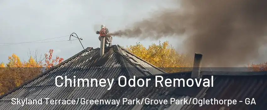 Chimney Odor Removal Skyland Terrace/Greenway Park/Grove Park/Oglethorpe - GA