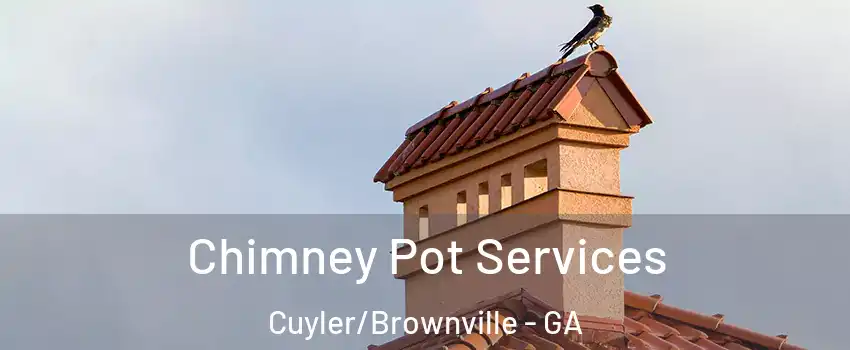 Chimney Pot Services Cuyler/Brownville - GA