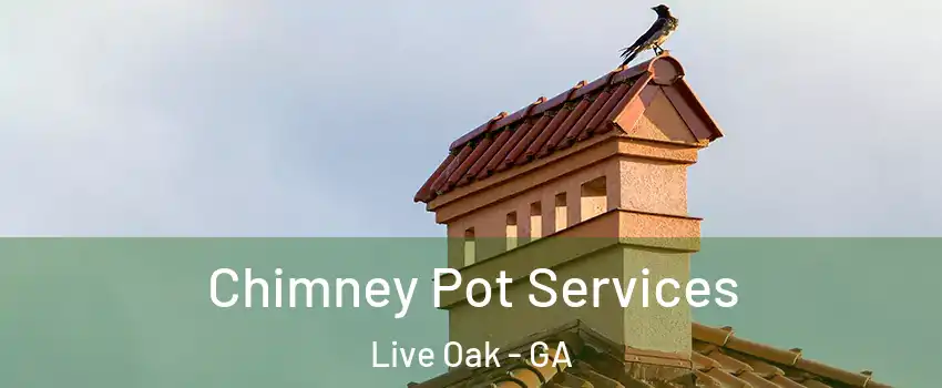 Chimney Pot Services Live Oak - GA