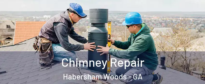 Chimney Repair Habersham Woods - GA