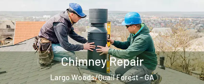 Chimney Repair Largo Woods/Quail Forest - GA