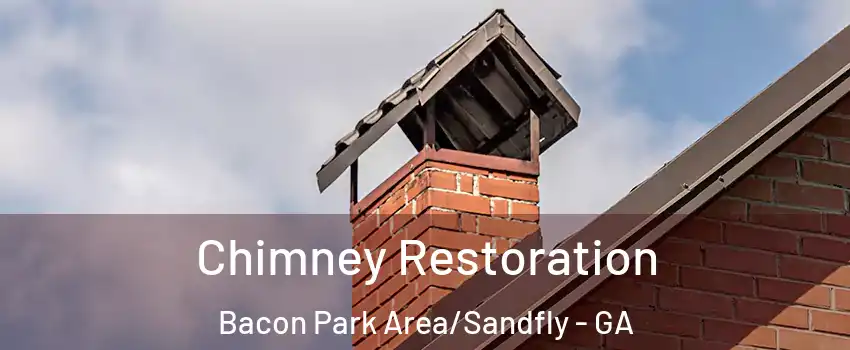 Chimney Restoration Bacon Park Area/Sandfly - GA