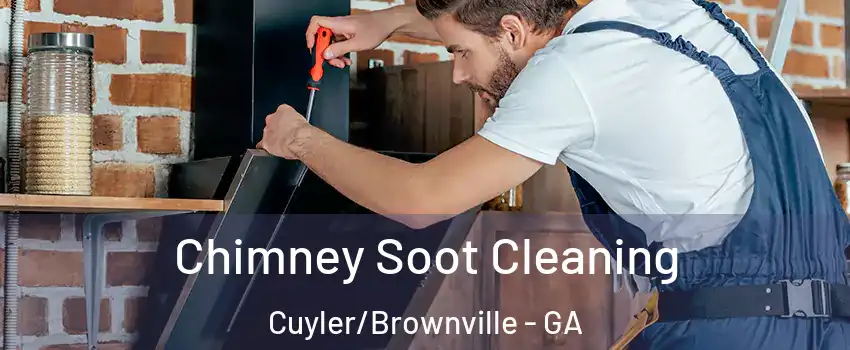 Chimney Soot Cleaning Cuyler/Brownville - GA