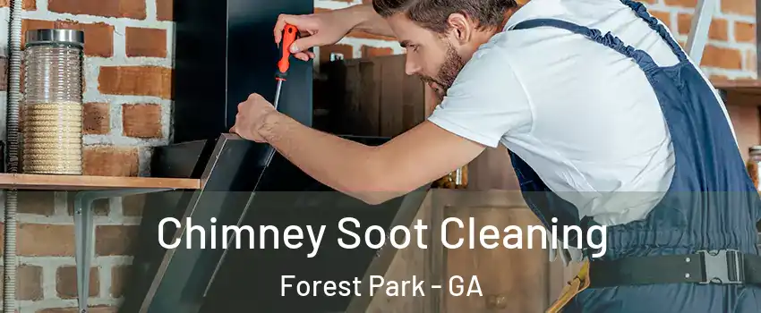 Chimney Soot Cleaning Forest Park - GA