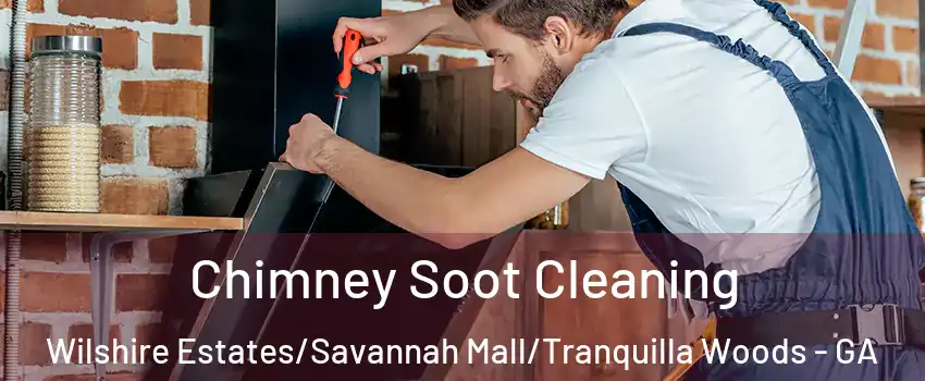 Chimney Soot Cleaning Wilshire Estates/Savannah Mall/Tranquilla Woods - GA