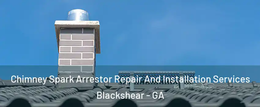 Chimney Spark Arrestor Repair And Installation Services Blackshear - GA