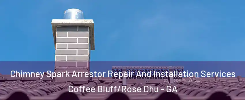 Chimney Spark Arrestor Repair And Installation Services Coffee Bluff/Rose Dhu - GA