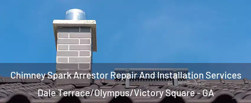 Chimney Spark Arrestor Repair And Installation Services Dale Terrace/Olympus/Victory Square - GA