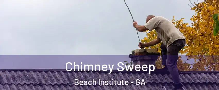 Chimney Sweep Beach Institute - GA