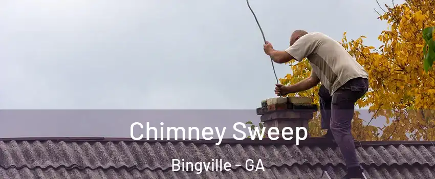 Chimney Sweep Bingville - GA