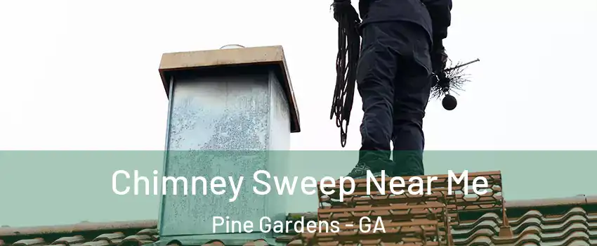 Chimney Sweep Near Me Pine Gardens - GA