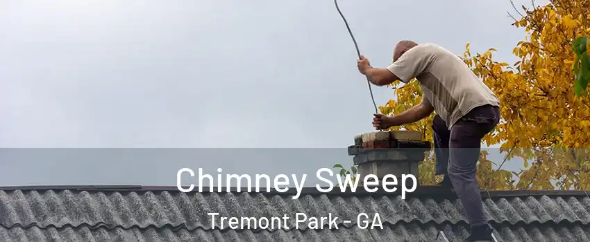 Chimney Sweep Tremont Park - GA