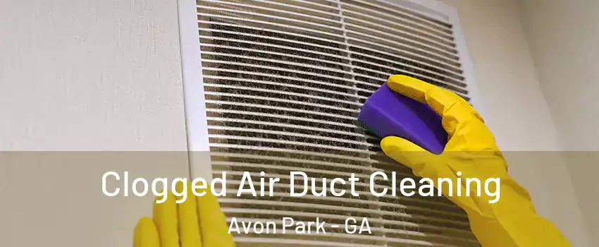 Clogged Air Duct Cleaning Avon Park - GA