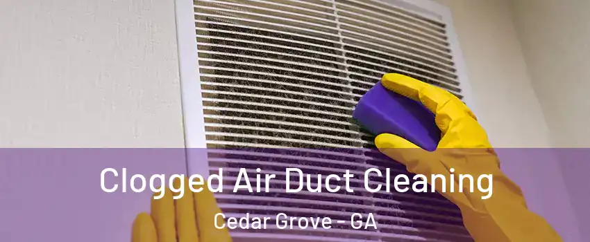 Clogged Air Duct Cleaning Cedar Grove - GA