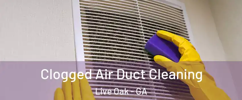 Clogged Air Duct Cleaning Live Oak - GA