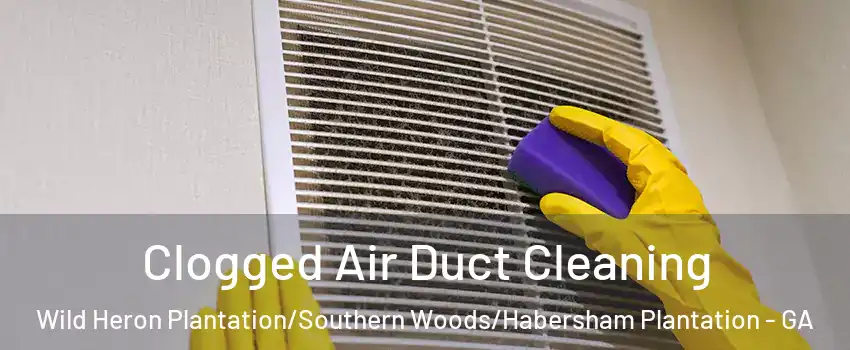 Clogged Air Duct Cleaning Wild Heron Plantation/Southern Woods/Habersham Plantation - GA