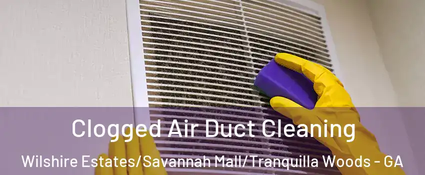 Clogged Air Duct Cleaning Wilshire Estates/Savannah Mall/Tranquilla Woods - GA