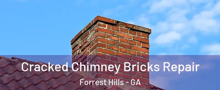 Cracked Chimney Bricks Repair Forrest Hills - GA